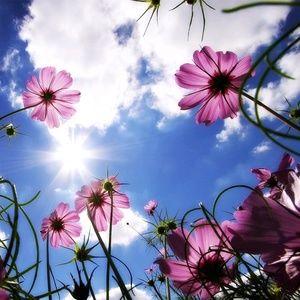 Meet your Posher, Daisy